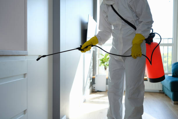 Mold Testing and Removal in Nolensville, TN